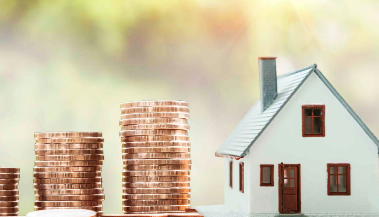 Levanta Capital como un Experto: Asegura Inversores y Haz Crecer tu Negocio